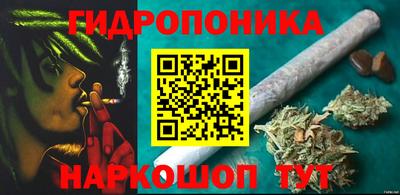 спиды Славгород