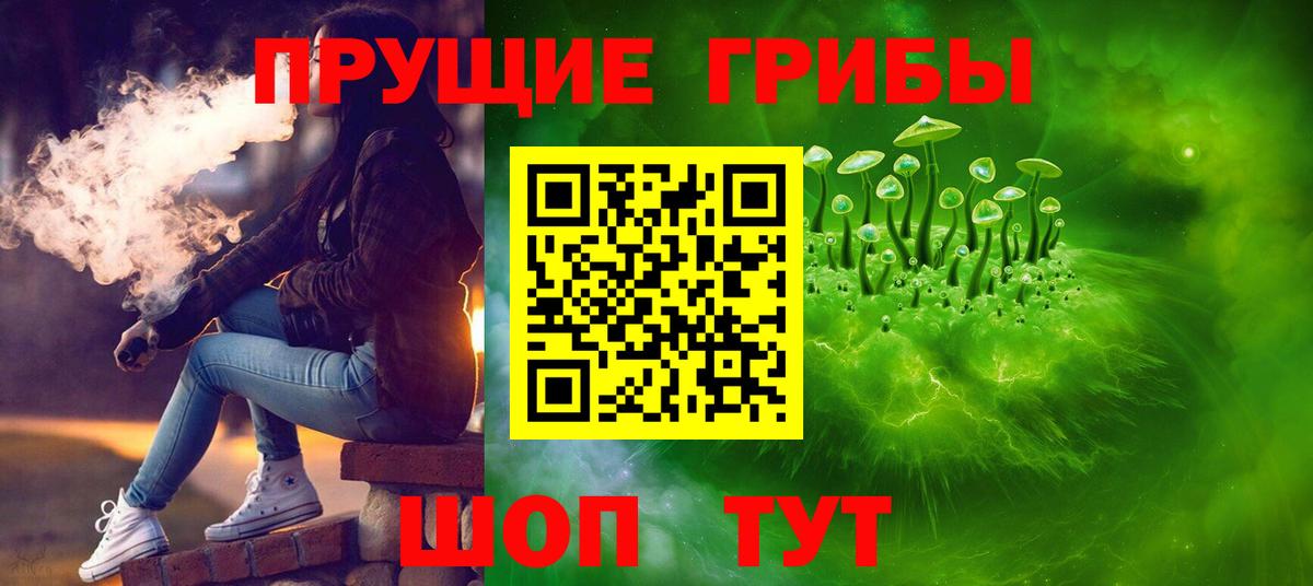 где продают   Галлюциногенные грибы Cubensis  Вход с VPN  Симферополь 